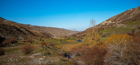 Un serpenteante arroyo fluye a través de un valle rodeado de colinas onduladas y escasa vegetación bajo un cielo azul claro, con animales pastoreando salpicando el paisaje..