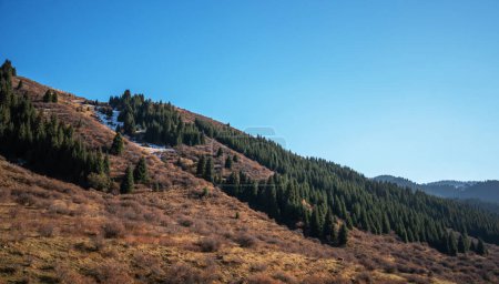 Schräge Hänge mit einer Mischung aus immergrünen Bäumen und trockenem Gras unter einem klaren blauen Himmel, mit Schneeflecken, die auf den nahenden Winter hindeuten