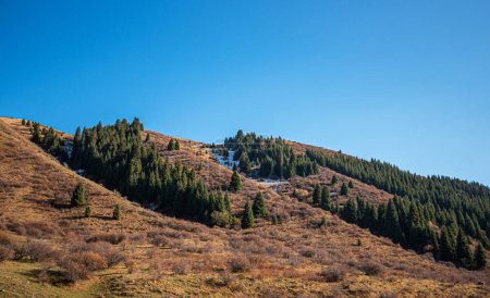 Sloping hillsides with a mix of evergreen trees and dry grass under a clear blue sky, with patches of snow hinting at the approach of winter