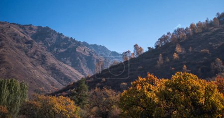 un paisaje otoñal pintoresco con un gradiente de colores otoñales que adornan los árboles, situado en el fondo de un terreno escarpado y montañoso bajo un cielo azul claro.
