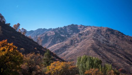 eine malerische Herbstlandschaft mit einem Gefälle der Herbstfarben, das die Bäume schmückt, vor dem Hintergrund eines zerklüfteten, bergigen Geländes unter einem klaren blauen Himmel.