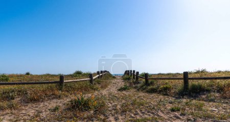Sentier sablonneux flanqué de clôtures en bois, menant à travers les herbes des dunes vers une mer tranquille, sous un vaste ciel bleu clair.