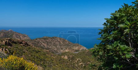 Breathtaking coastal landscape where rugged mountains meet the deep blue sea, with vibrant yellow wildflowers in the foreground and dense green foliage to the side.