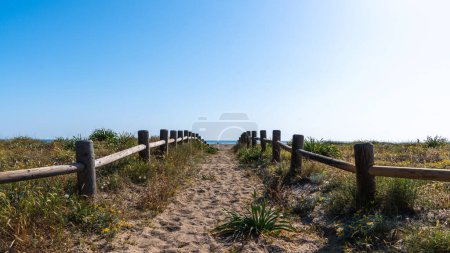Sendero de arena flanqueado por vallas de madera, que conduce a través de hierbas de dunas hacia un mar tranquilo, bajo un vasto cielo azul claro