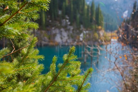 vibrant green pine needles in sharp focus with a turquoise lake and submerged trees in the blurry background, surrounded by a rocky terrain and forest