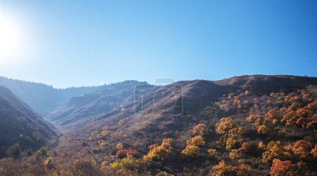a sunlit mountain slope dotted with trees displaying vibrant autumn colors, under a bright blue sky with sunlight streaming from the corner