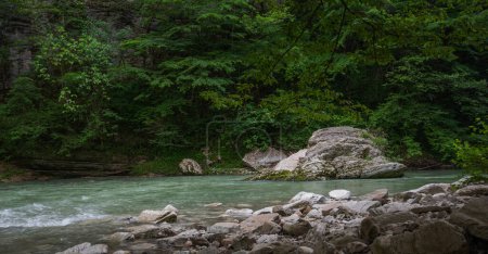Natural background. View of nature against the background of green leaves. Picturesque mountain stream. Mountain river water landscape. Wild river in the mountains.
