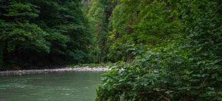 Natural background. View of nature against the background of green leaves. Picturesque mountain stream. Mountain river water landscape. Wild river in the mountains.
