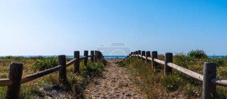 Sandy wooden-fenced pathway through a coastal dune landscape with wildflowers, leading to a calm blue ocean under a clear sky.
