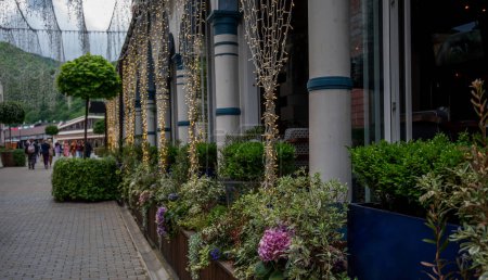 A charming pedestrian walkway adorned with twinkling fairy lights and lush planters full of hydrangeas and foliage, creating an enchanting atmosphere against the backdrop of a mountainous landscape