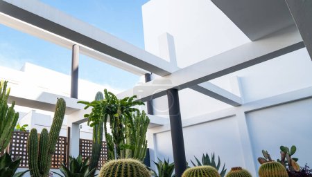 variedad de cactus y suculentas en modernas macetas negras cuadradas, colocadas contra una cama de guijarros blancos. Los elementos arquitectónicos con líneas limpias crean un entorno de jardín contemporáneo y tranquilo.