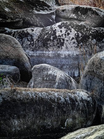 Foto de Rocas y piedras de granito, Ucrania, región de Mykolaiv - Imagen libre de derechos
