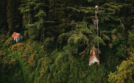 Photo for A bird's-eye view of an abandoned house nestled in the midst of a serene forest, Ireland - Royalty Free Image