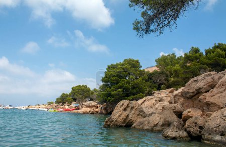 Photo for Ibiza Patja des Canar beach with turquoise water in Balearic islands - Royalty Free Image