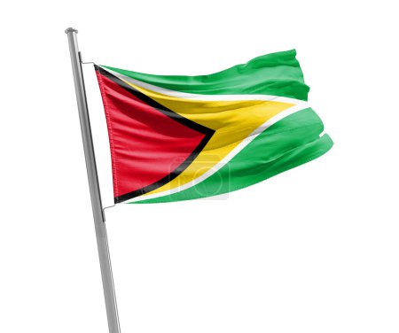 Foto de Guyana ondeando bandera sobre fondo blanco - Imagen libre de derechos
