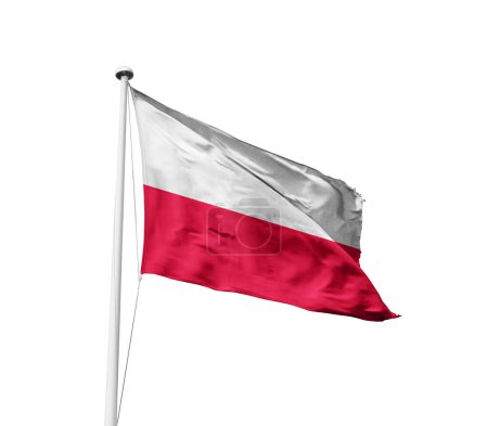 Téléchargez les photos : Pologne agitant le drapeau sur fond blanc - en image libre de droit