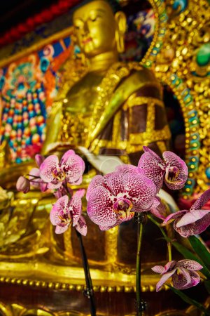Téléchargez les photos : Image d'orchidées roses à côté d'une grande statue de Bouddha doré dans le sanctuaire - en image libre de droit