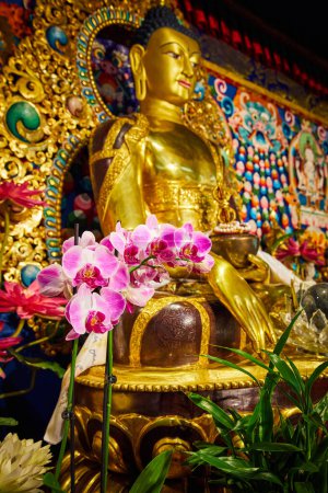 Téléchargez les photos : Image d'orchidées roses à l'intérieur du sanctuaire bouddhiste mongol tibétain avec des statues dorées - en image libre de droit