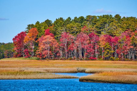 Image des marais du Maine avec feuillage automnal le long de la lisière de la forêt