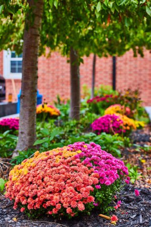 Photo for Image of Simple flower garden with rows of trees and brick wall behind - Royalty Free Image