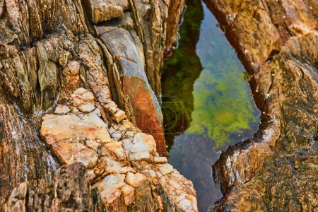 Photo for Image of Mineral veins and layered rocks next to small tide pool in low tide - Royalty Free Image
