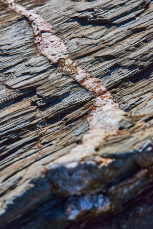 Foto de Imagen de Macro de vena de cuarzo mineral atravesando capas de roca - Imagen libre de derechos