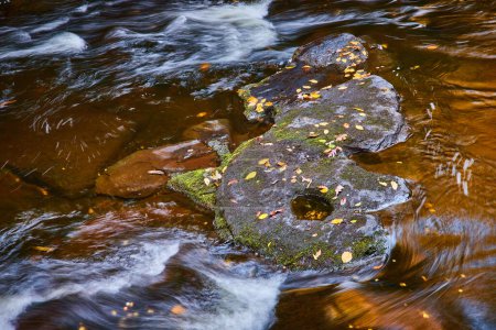 Foto de Imagen de Hojas y rocas talladas cubiertas de musgo en medio del río rabioso y suave en detalle - Imagen libre de derechos