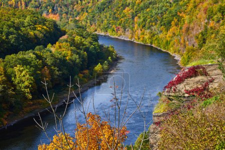 Foto de Imagen de Parche del río Delaware desde arriba a principios de otoño con roca cubierta de vides rojas - Imagen libre de derechos
