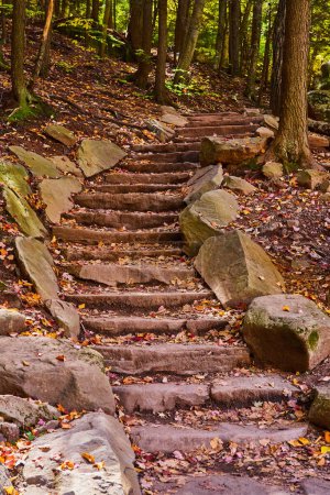 Téléchargez les photos : Image de l'escalier du sentier de randonnée en forêt d'automne bordé de rochers de pierre qui se termine - en image libre de droit