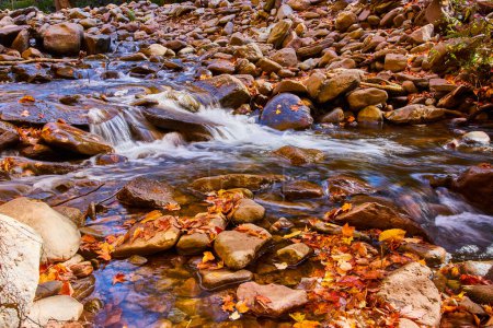 Téléchargez les photos : Image de feuilles d'automne et de petites roches le long d'un ruisseau serein à angle bas - en image libre de droit