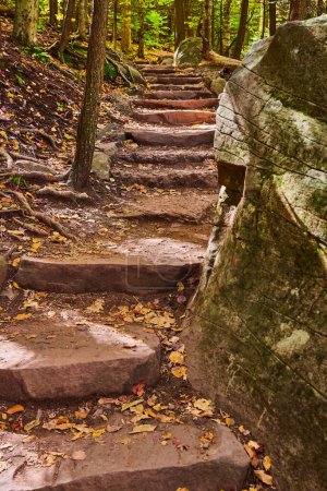 Téléchargez les photos : Image de marches en pierre avec des rochers dans un sentier de randonnée serpentant à travers la forêt d'automne - en image libre de droit
