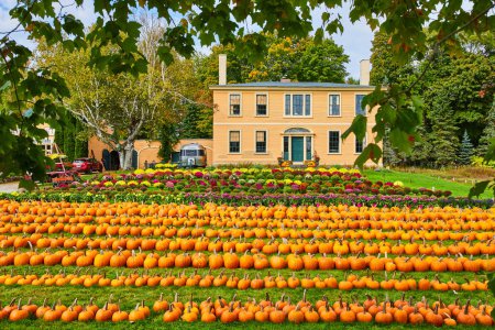 Photo for Image of Pumpkin and flower farm in Maine with variety of sizes and home estate in background - Royalty Free Image