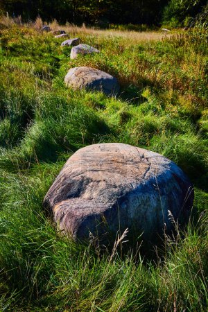 Foto de Imagen de Fila de grandes rocas separadas con hierba ondulada alrededor - Imagen libre de derechos