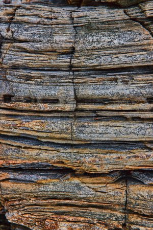 Foto de Imagen de Capas de roca que parecen madera petrificada en la costa de Maine - Imagen libre de derechos