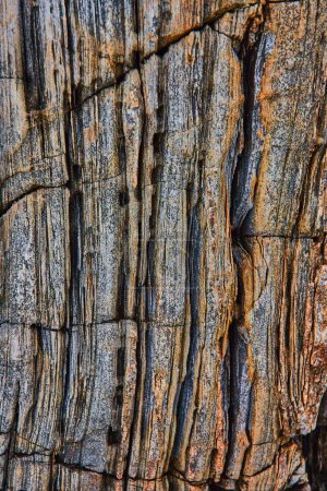 Foto de Imagen de Detalle de la costa rocosa de Maine con capas de rocas - Imagen libre de derechos