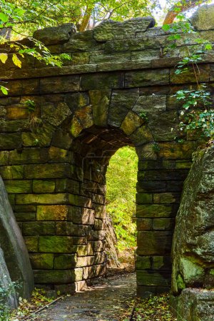 Téléchargez les photos : Image des bois de New York Central Park avec tunnel en arc de pierre - en image libre de droit