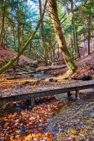 Foto de Imagen de las hojas de otoño cubren el suelo del bosque y el puente sobre un pequeño arroyo en el parque - Imagen libre de derechos