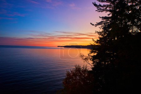 Photo for Image of Sunset gold over a great lake with silhouette of a pine tree and a distant peninsula - Royalty Free Image