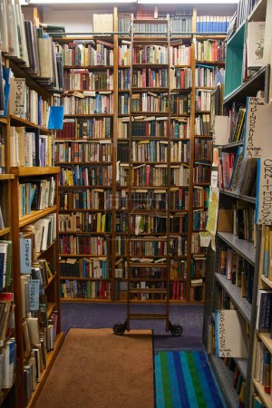 Téléchargez les photos : Image de Bibliothèque librairie avec étagères, échelle, livres, tapis et murs d'histoires magique - en image libre de droit