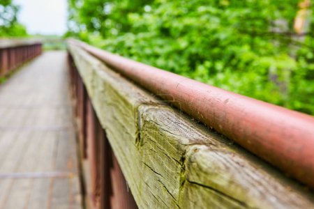 Photo for Image of Close up of railing on boardwalk bridge with green mold growing on weather worn wood railing - Royalty Free Image