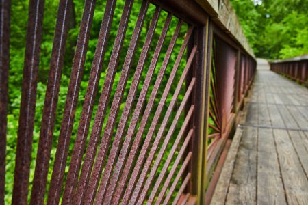 Photo for Image of Close up of rusty metal bars on boardwalk railing with green forest tree tops behind spokes - Royalty Free Image