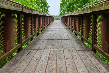 Photo for Image of Low angle of bridge with setting sun pattern on railing and wooden walkway path over tree tops - Royalty Free Image