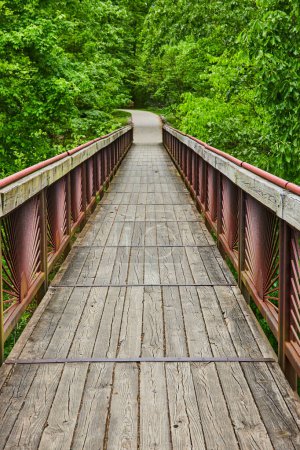 Photo for Image of Boardwalk with rusty metal bar railing and worn wooden beams and planks leading to trail - Royalty Free Image