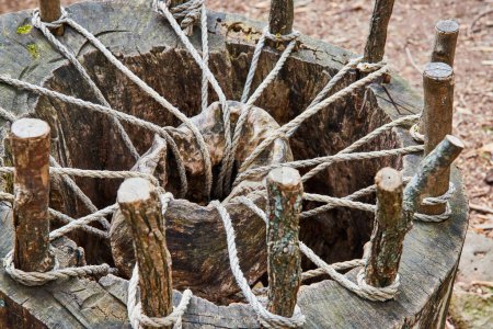 Photo for Image of Odd contraption built into tree stump with sticks and rope holding up wood or stone in center of pit - Royalty Free Image
