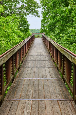 Photo for Image of Vertical of woods surrounding boardwalk leading to treetop overlook of park - Royalty Free Image