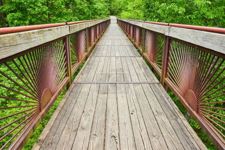 Photo for Image of Horizontal of boardwalk bridge leading into lush green forest with trail at Bernheim Forest park - Royalty Free Image