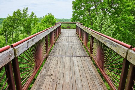 Photo for Image of Crisp view of tree top boardwalk bridge overlooking forest area with rising sun pattern under railing - Royalty Free Image