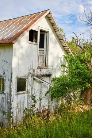Photo for Image of Run down abandoned white building in country with gnarly tree and busted door and window - Royalty Free Image