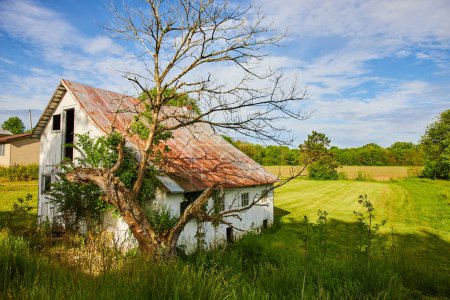 Photo for Image of Abandoned house in country with dead tree and overgrowth reclaiming decaying building - Royalty Free Image