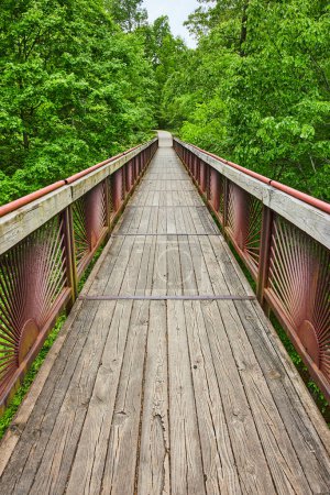 Photo for Image of Boardwalk view from bridge with lush green forest and artistic metal bar railing - Royalty Free Image